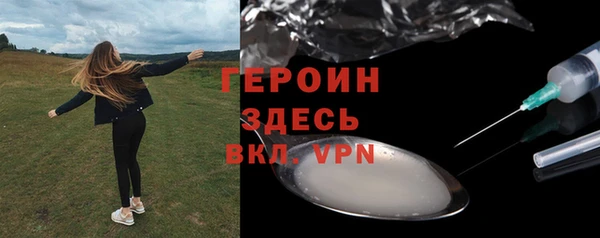 гашик Няндома